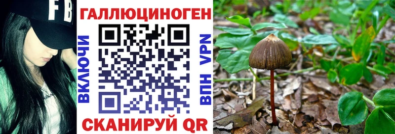 Галлюциногенные грибы ЛСД  Билибино 