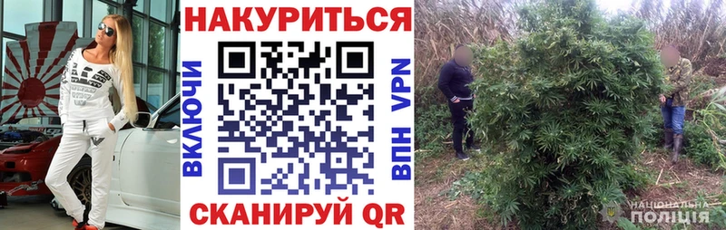 купить закладку  Билибино  Конопля индика 